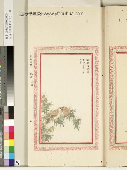 毛诗品物图考（三）册 谁谓雀无角.jpg