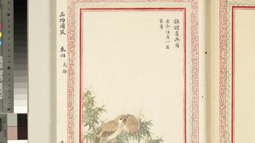 毛诗品物图考（三）册 谁谓雀无角.jpg