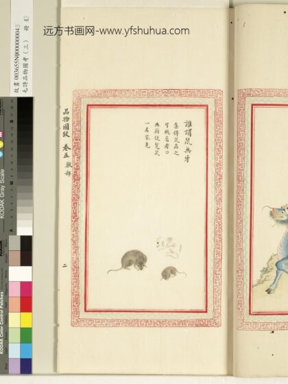 毛诗品物图考（三）册 谁谓鼠无牙 1.jpg