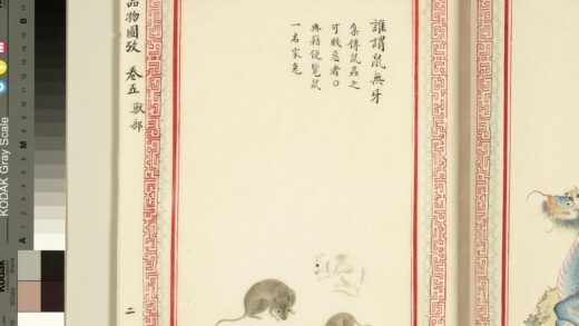 毛诗品物图考（三）册 谁谓鼠无牙 1.jpg