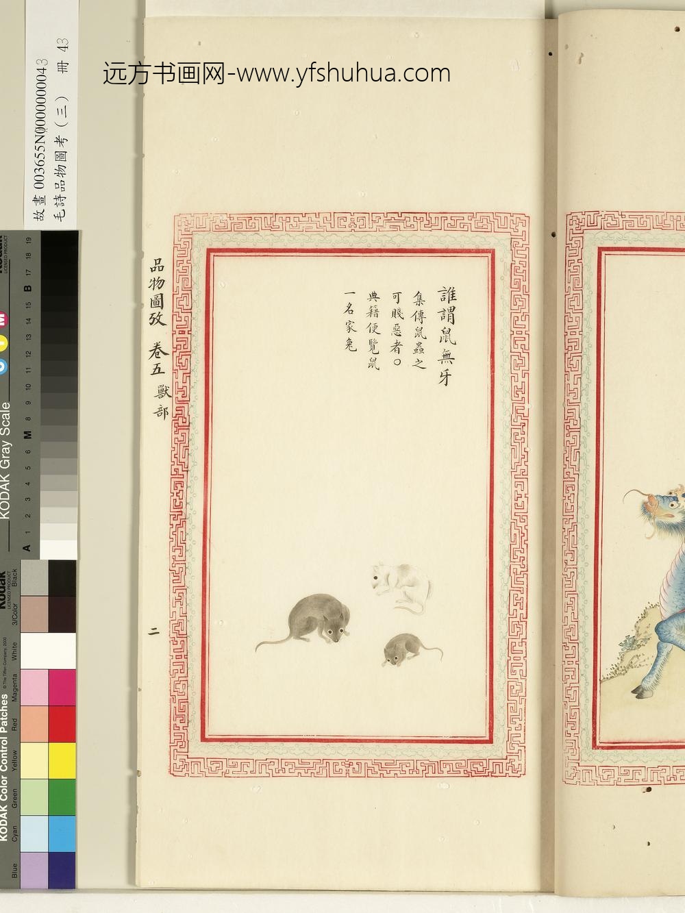 毛诗品物图考（三）册-谁谓鼠无牙-