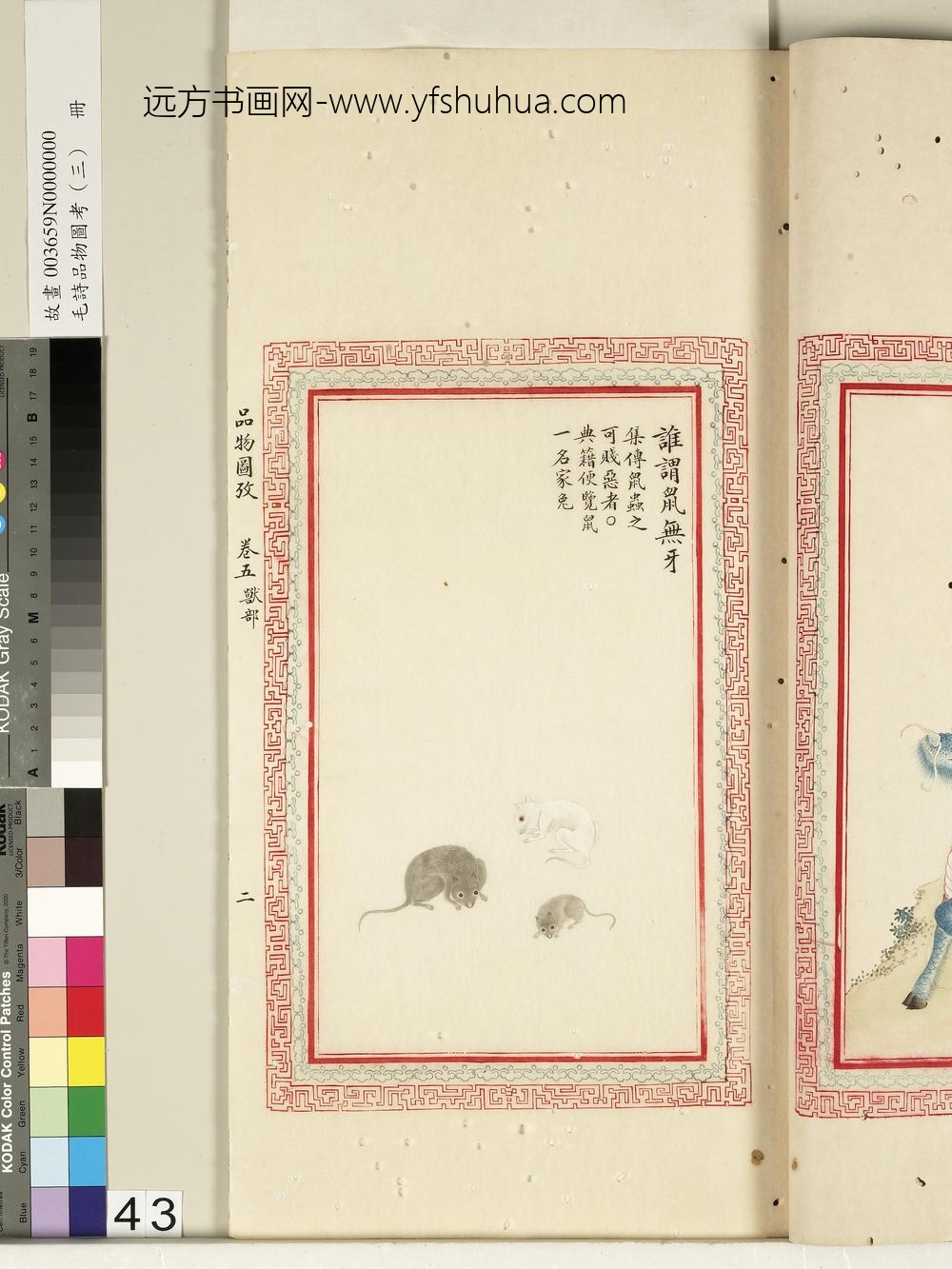 毛诗品物图考（三）册-谁谓鼠无牙-