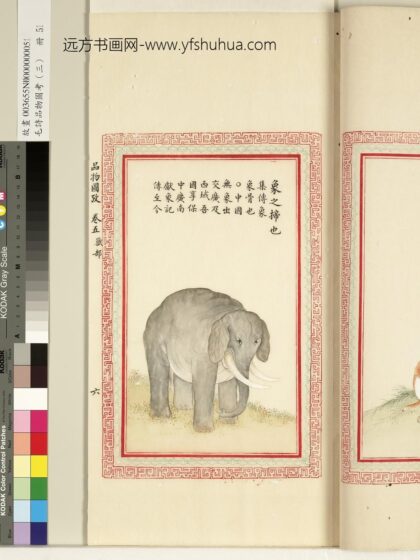 毛诗品物图考（三）册 象之揥也 1.jpg