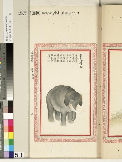 毛诗品物图考（三）册 象之揥也 2.jpg