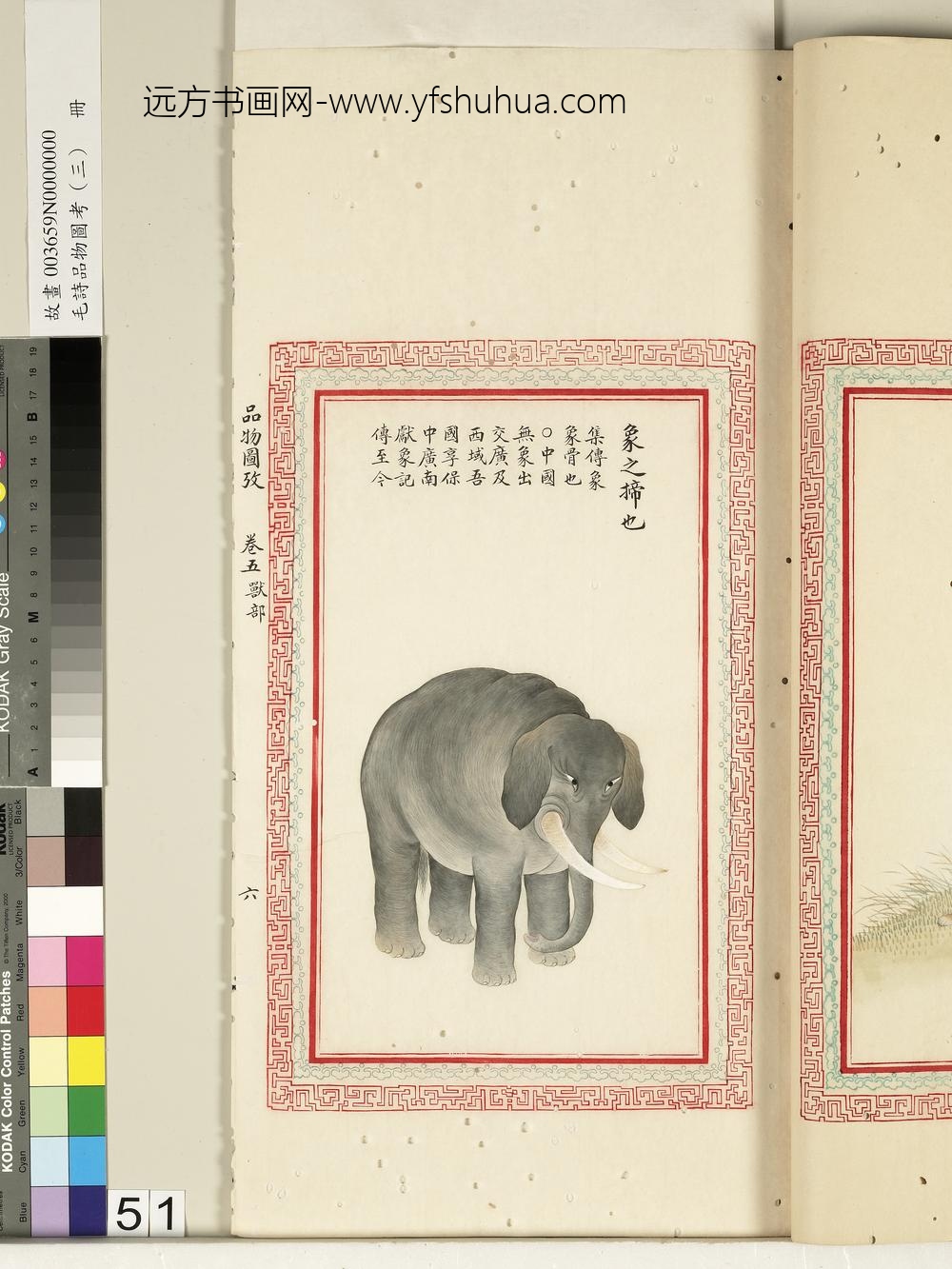 毛诗品物图考（三）册-象之揥也-