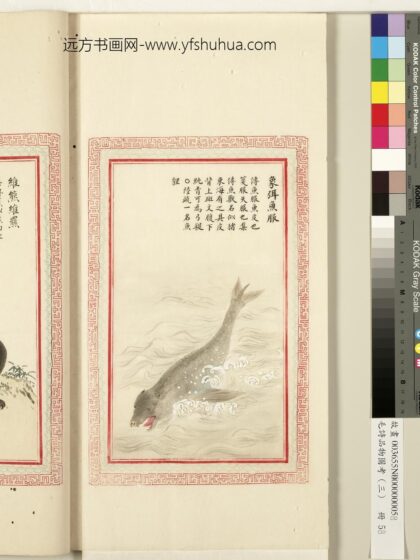 毛诗品物图考（三）册 象弭鱼服 1.jpg