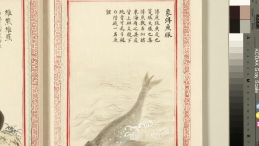 毛诗品物图考（三）册 象弭鱼服 1.jpg