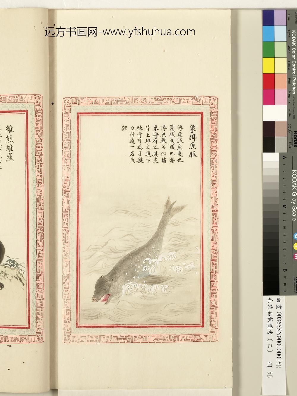 毛诗品物图考（三）册-象弭鱼服-