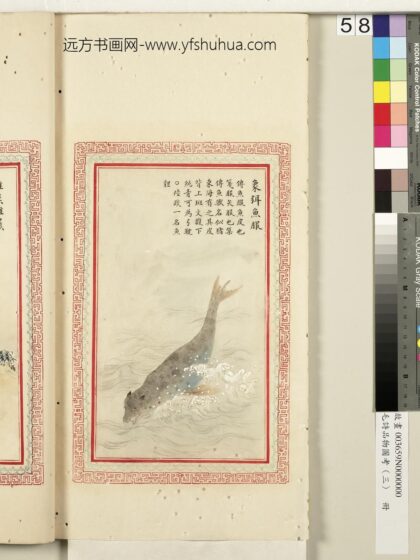 毛诗品物图考（三）册 象弭鱼服 2.jpg