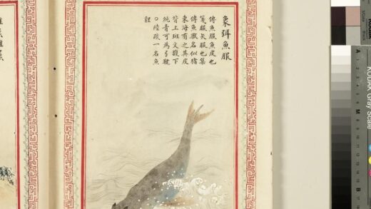 毛诗品物图考（三）册 象弭鱼服 2.jpg