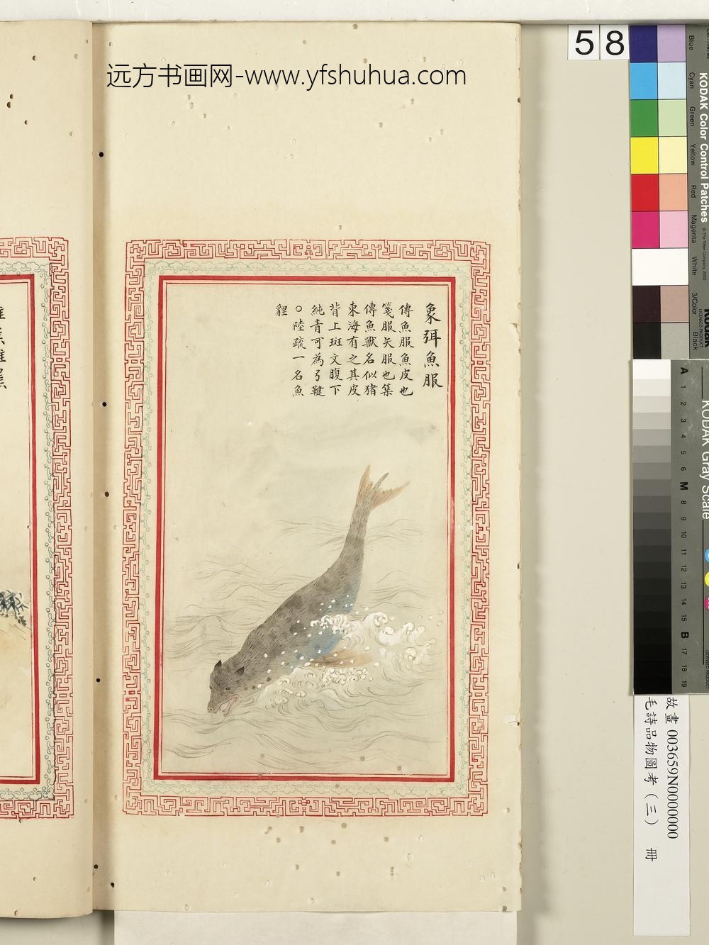 毛诗品物图考（三）册-象弭鱼服-