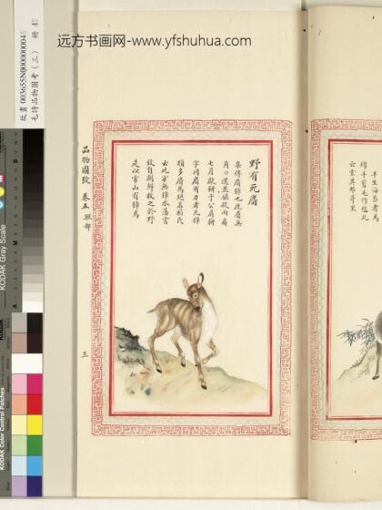 毛诗品物图考（三）册 野有死麕 1.jpg