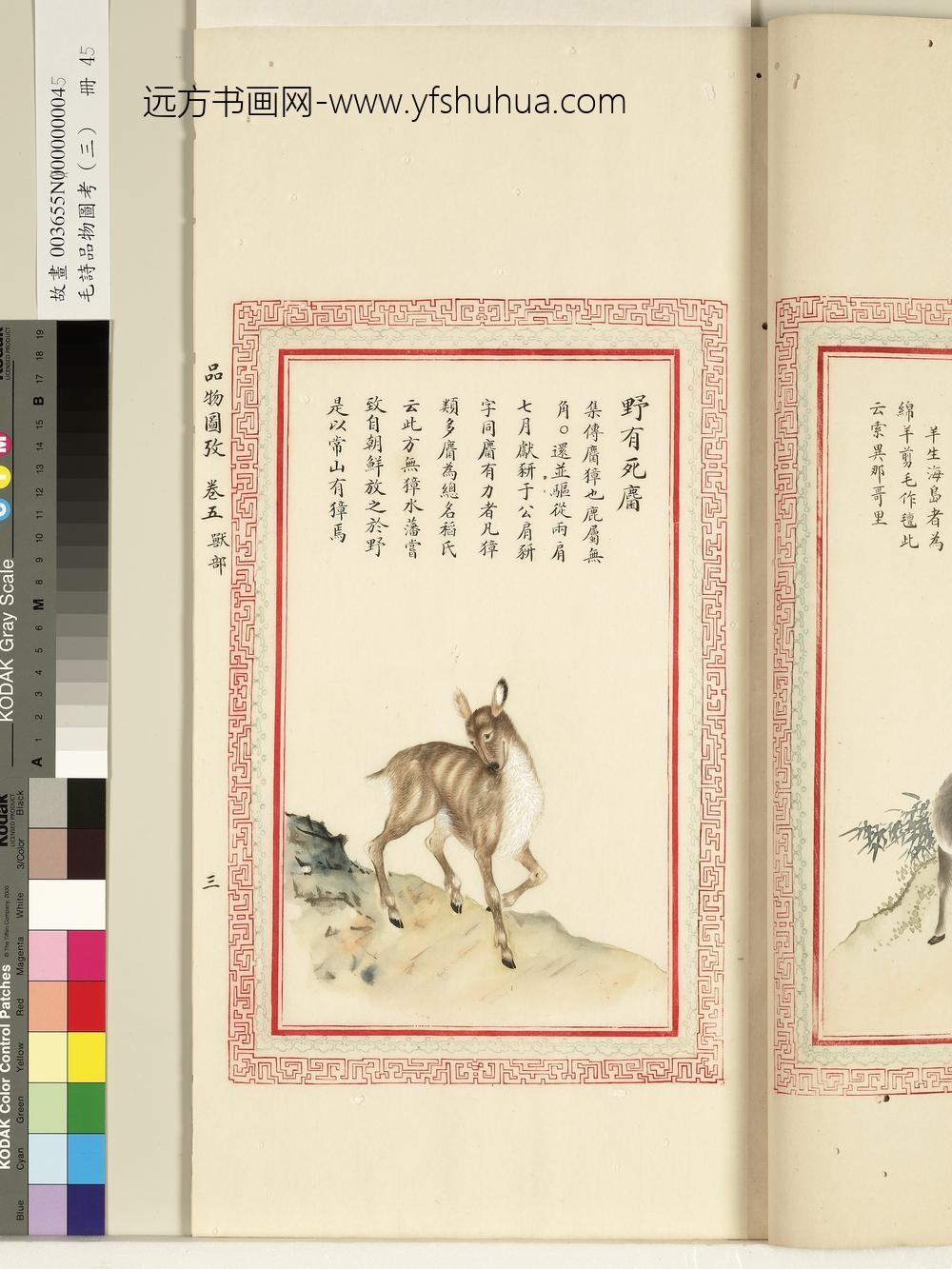 毛诗品物图考（三）册-野有死麕-