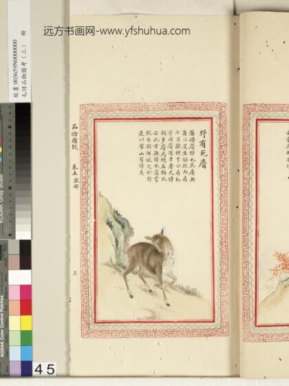 毛诗品物图考（三）册 野有死麕 2.jpg