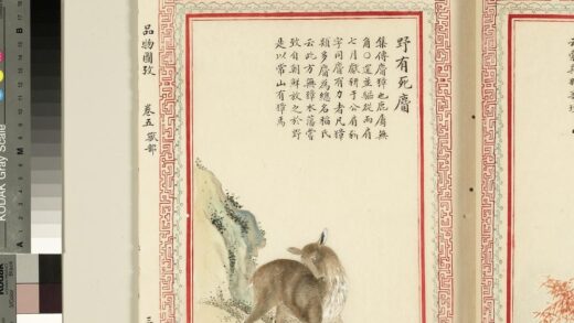 毛诗品物图考（三）册 野有死麕 2.jpg