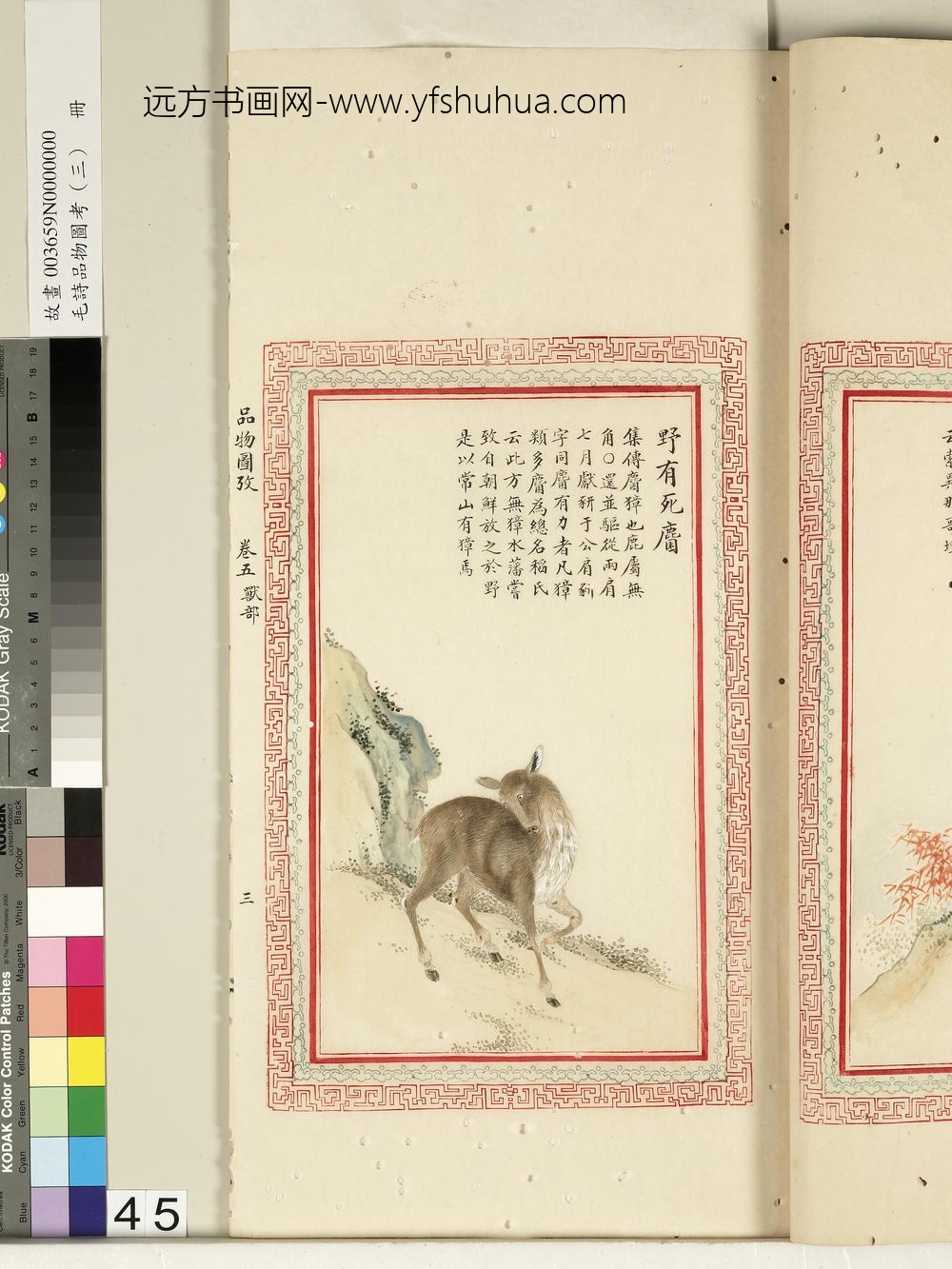 毛诗品物图考（三）册-野有死麕-