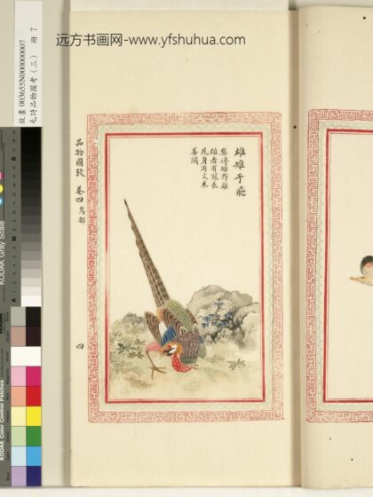 毛诗品物图考（三）册 雄雉于飞 1.jpg