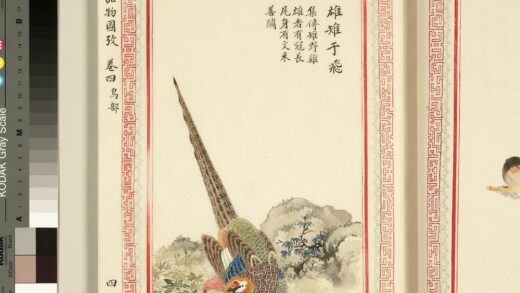 毛诗品物图考（三）册 雄雉于飞 1.jpg