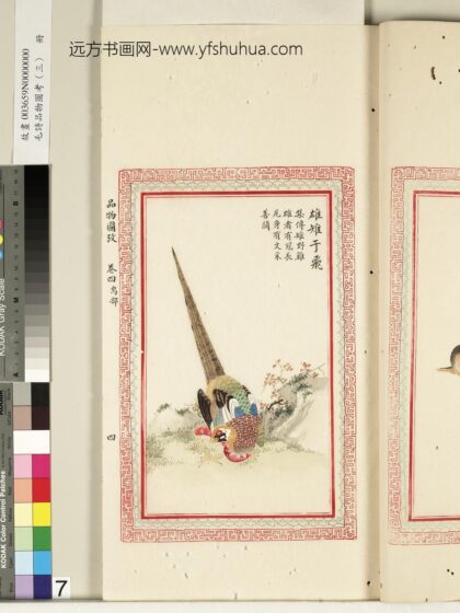 毛诗品物图考（三）册 雄雉于飞 2.jpg