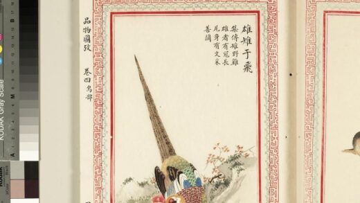 毛诗品物图考（三）册 雄雉于飞 2.jpg