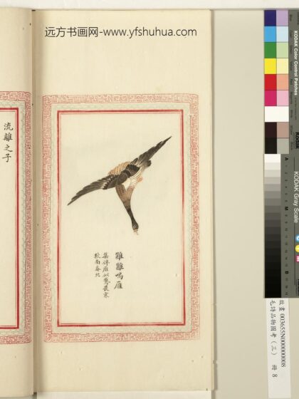 毛诗品物图考（三）册 雝雝鸣雁 1.jpg