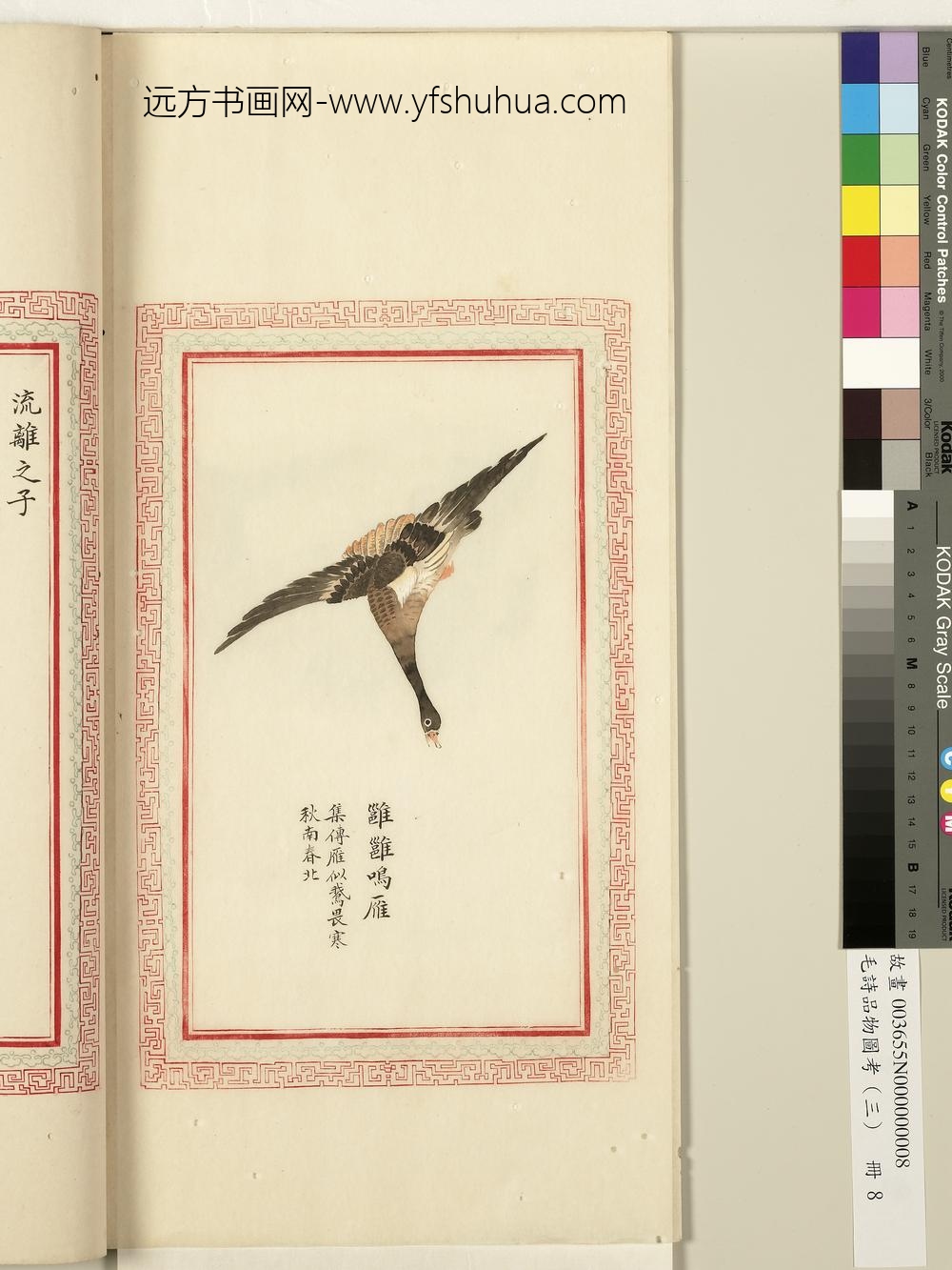 毛诗品物图考（三）册-雝雝鸣雁-