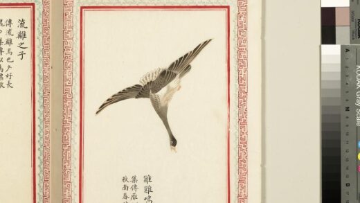 毛诗品物图考（三）册 雝雝鸣雁 2.jpg