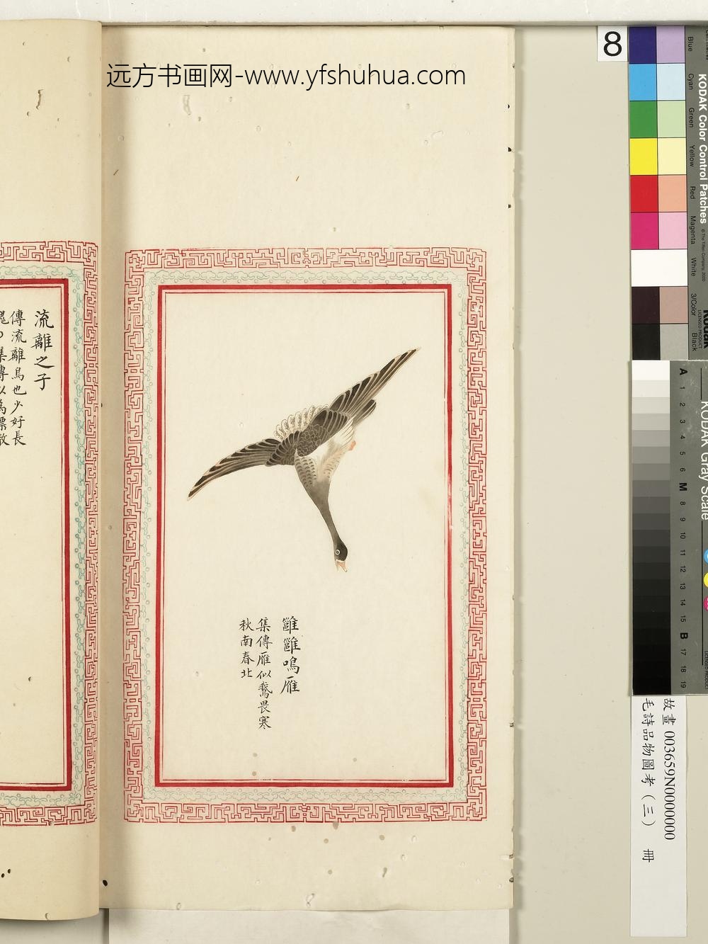 毛诗品物图考（三）册-雝雝鸣雁-