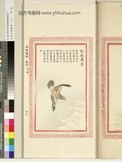 毛诗品物图考（三）册 鴥彼飞隼 1.jpg