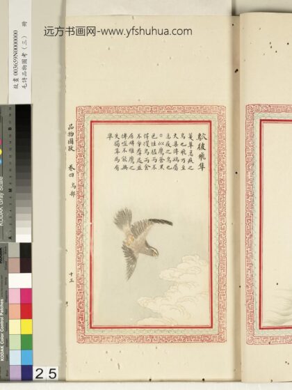 毛诗品物图考（三）册 鴥彼飞隼 2.jpg