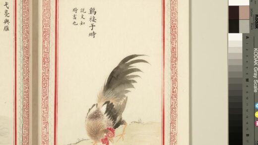 毛诗品物图考（三）册 鸡栖于埘 1.jpg