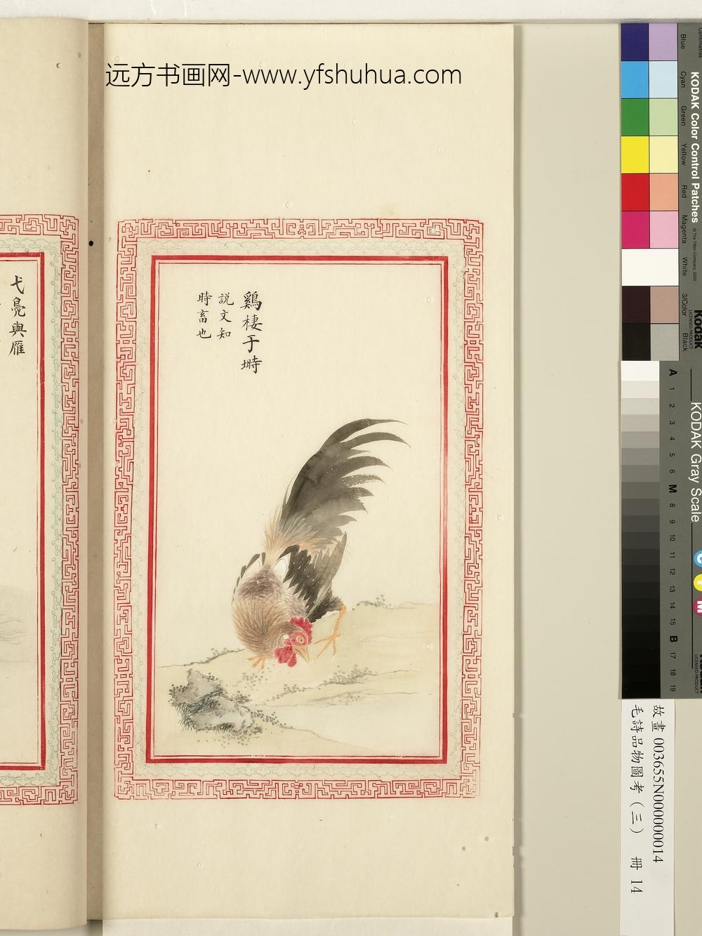 毛诗品物图考（三）册-鸡栖于埘-