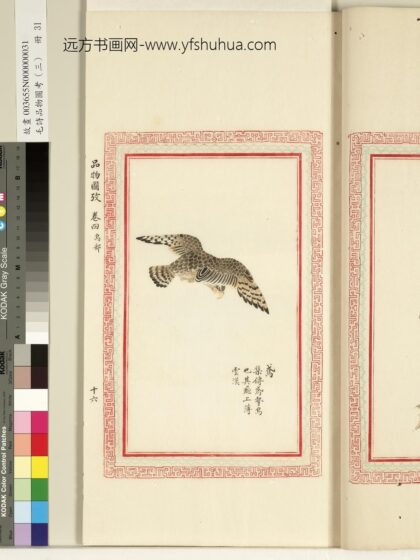 毛诗品物图考（三）册 鸢 1.jpg