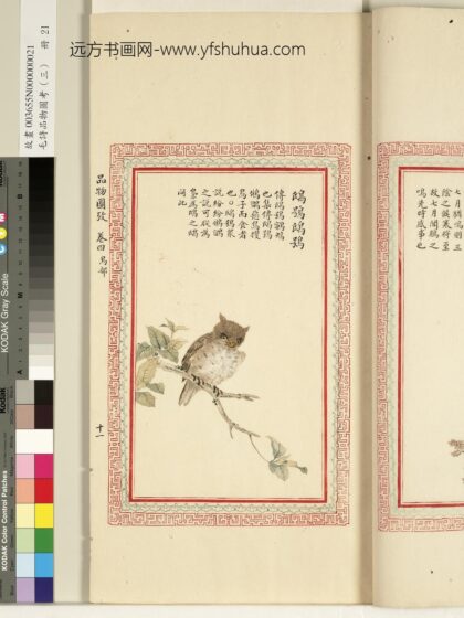 毛诗品物图考（三）册 鸱鸮鸱鸮 1.jpg