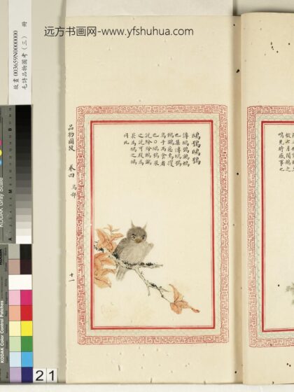 毛诗品物图考（三）册 鸱鸮鸱鸮 2.jpg