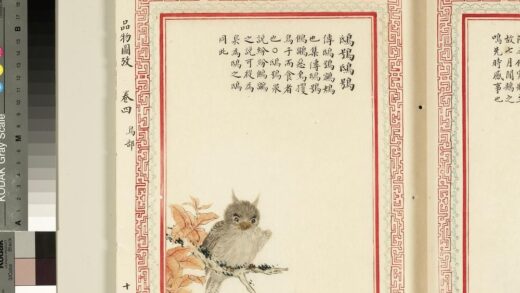 毛诗品物图考（三）册 鸱鸮鸱鸮 2.jpg