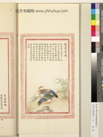 毛诗品物图考（三）册 鸳鸯于飞 1.jpg