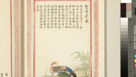 毛诗品物图考（三）册 鸳鸯于飞 1.jpg