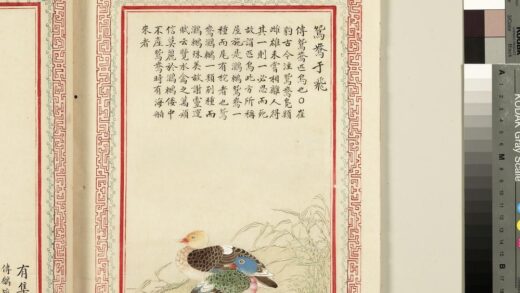 毛诗品物图考（三）册 鸳鸯于飞 2.jpg