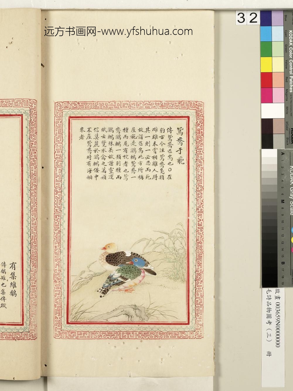 毛诗品物图考（三）册-鸳鸯于飞-