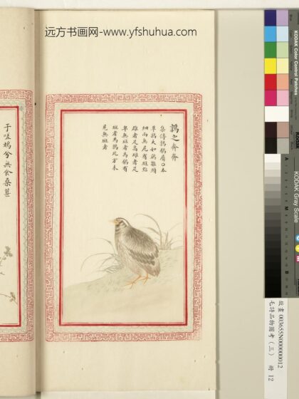 毛诗品物图考（三）册 鹑之奔奔 1.jpg