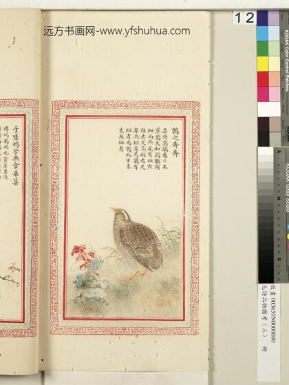 毛诗品物图考（三）册 鹑之奔奔 2.jpg