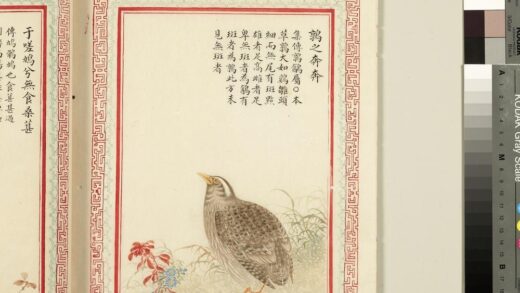 毛诗品物图考（三）册 鹑之奔奔 2.jpg