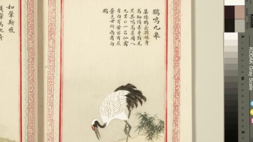 毛诗品物图考（三）册 鹤鸣九皋 1.jpg