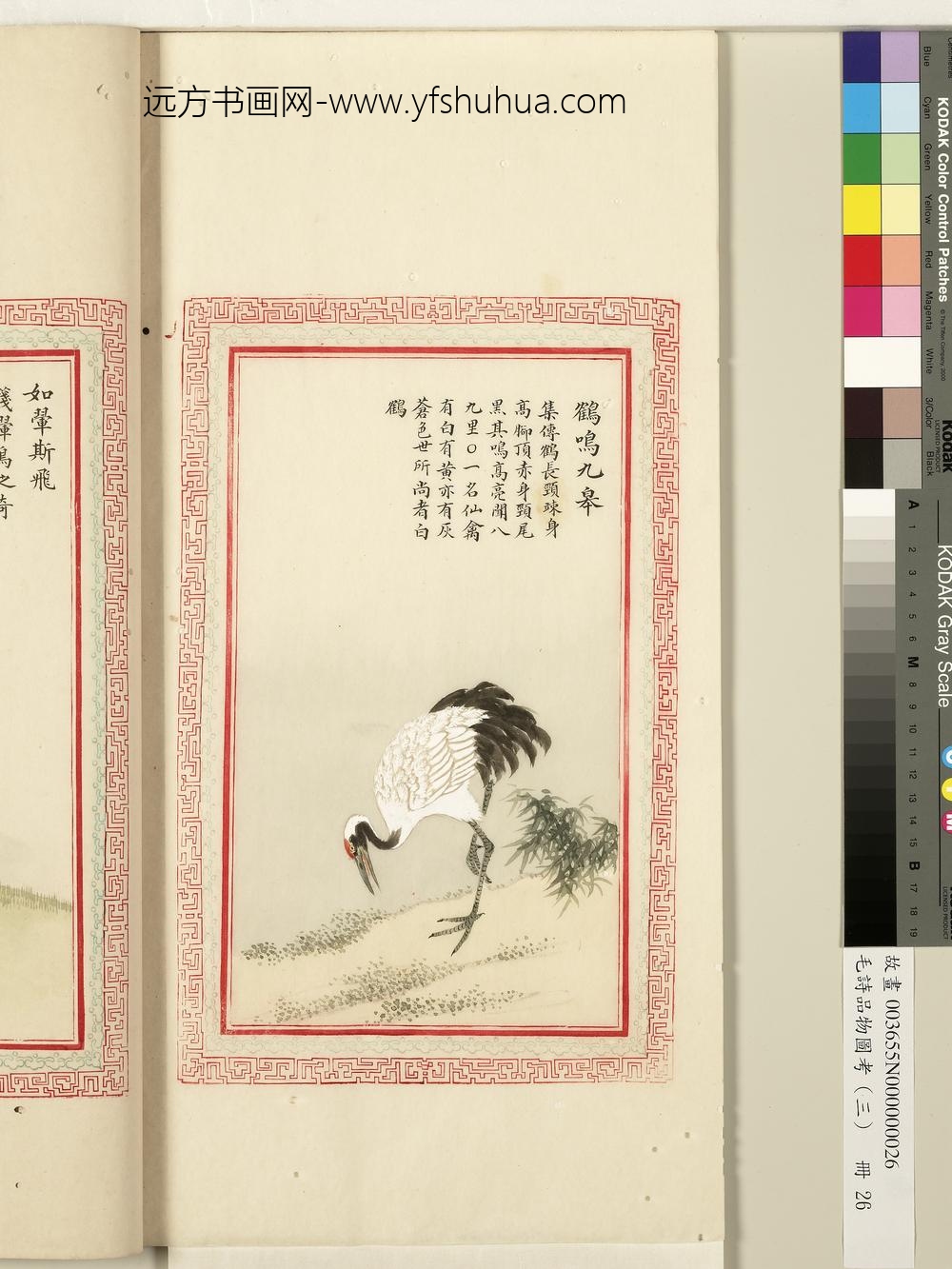 毛诗品物图考（三）册-鹤鸣九皋-