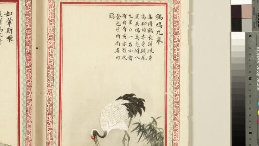 毛诗品物图考（三）册 鹤鸣九皋 2.jpg