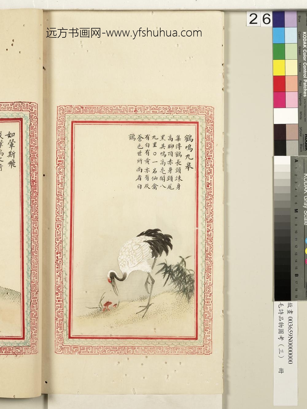 毛诗品物图考（三）册-鹤鸣九皋-