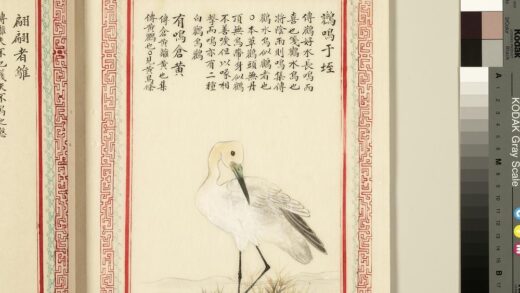 毛诗品物图考（三）册 鹳鸣于垤有鸣仓黄 1.jpg