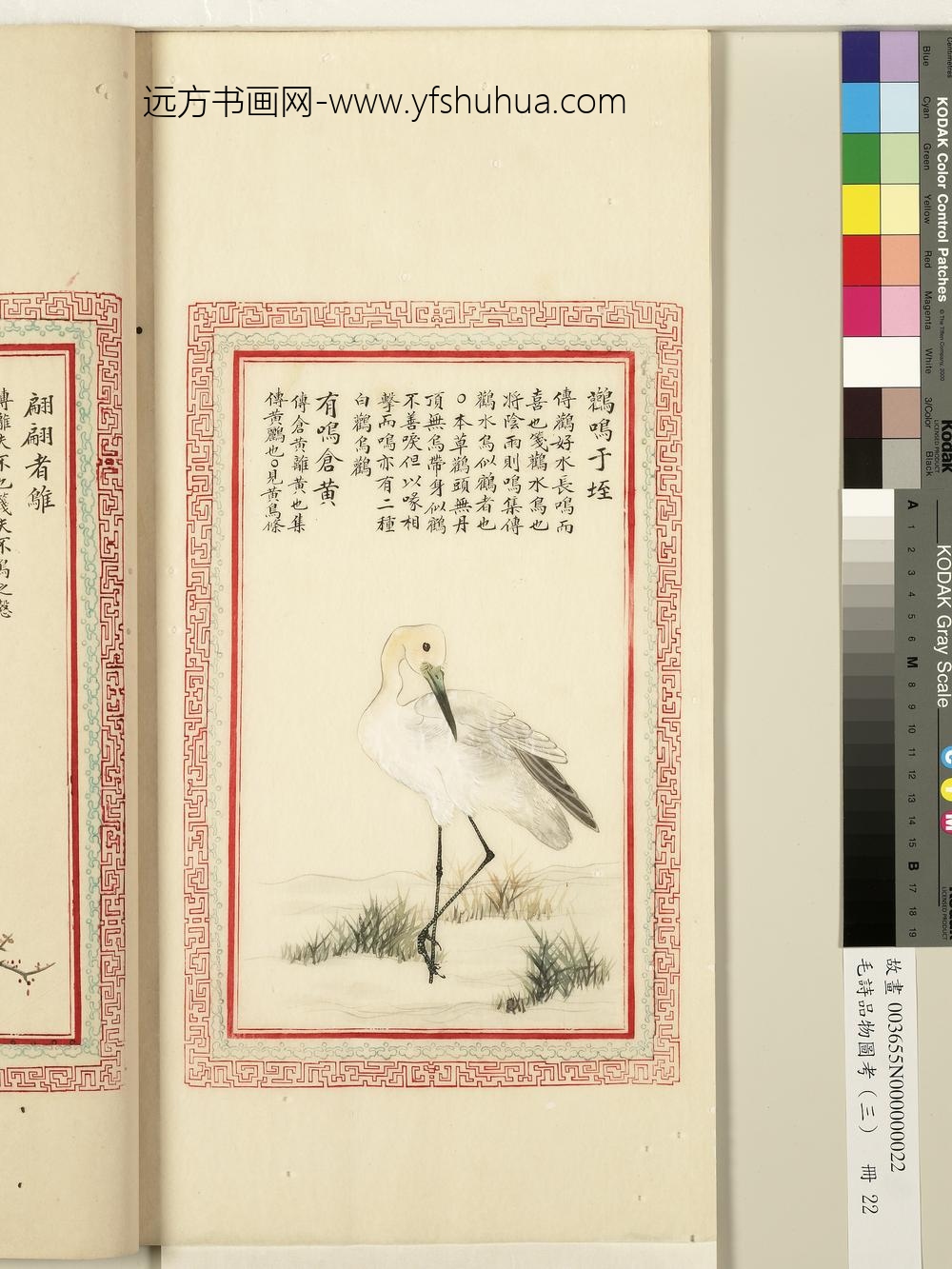 毛诗品物图考（三）册-鹳鸣于垤有鸣仓黄-