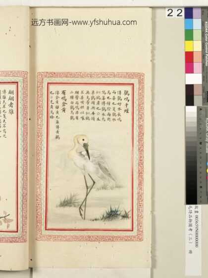 毛诗品物图考（三）册 鹳鸣于垤有鸣仓黄 2.jpg